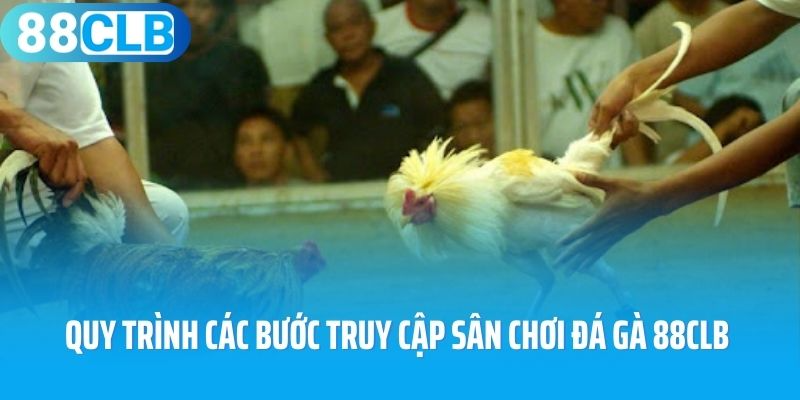 Quy trình các bước truy cập sân chơi đá gà 88CLB
